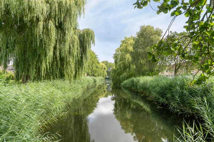 Foto 41 van Wilgenlaan 25