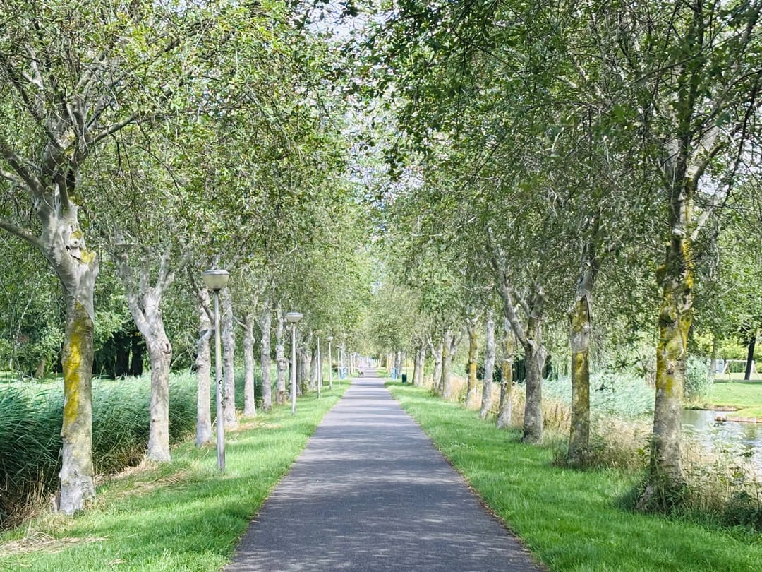 Foto 28 van Witte de Withplein 28