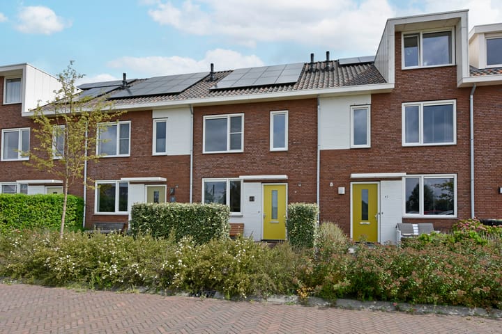 Foto 2 van Meerkoet 41