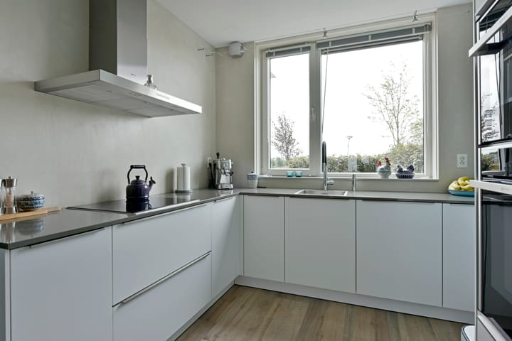 Foto 5 van Meerkoet 41