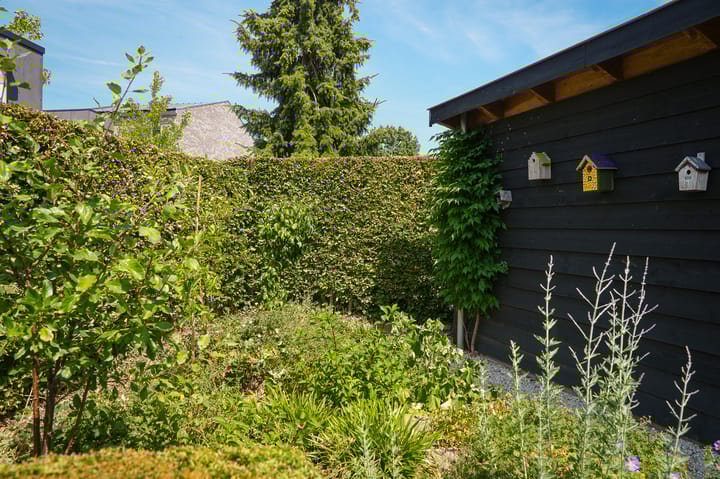 Foto 42 van Akkerstraat 1