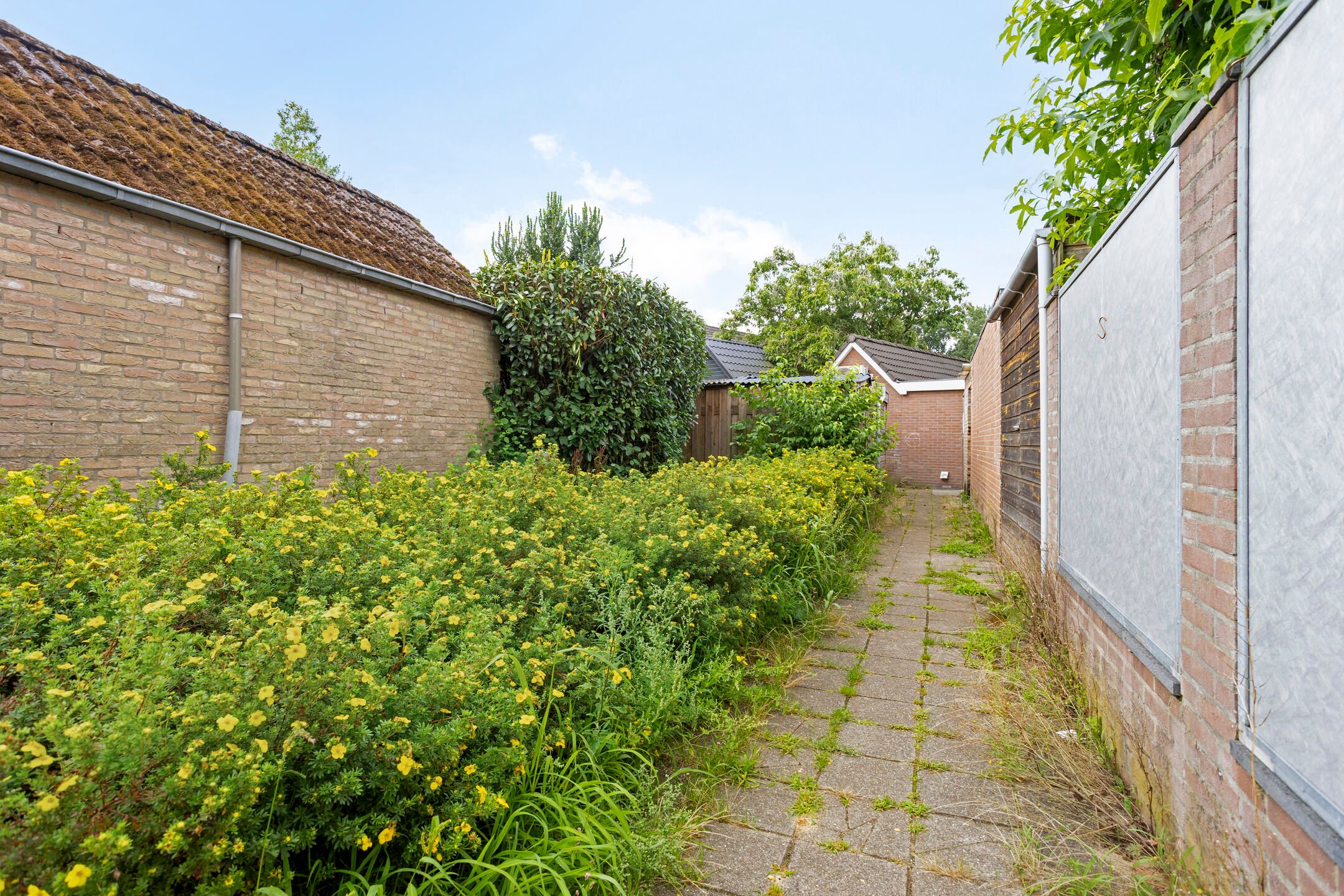 Foto 33 van Rederijkershoeve 141