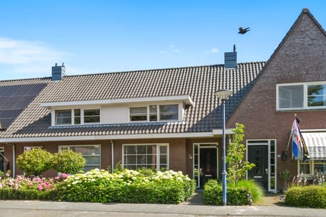 undefined main image