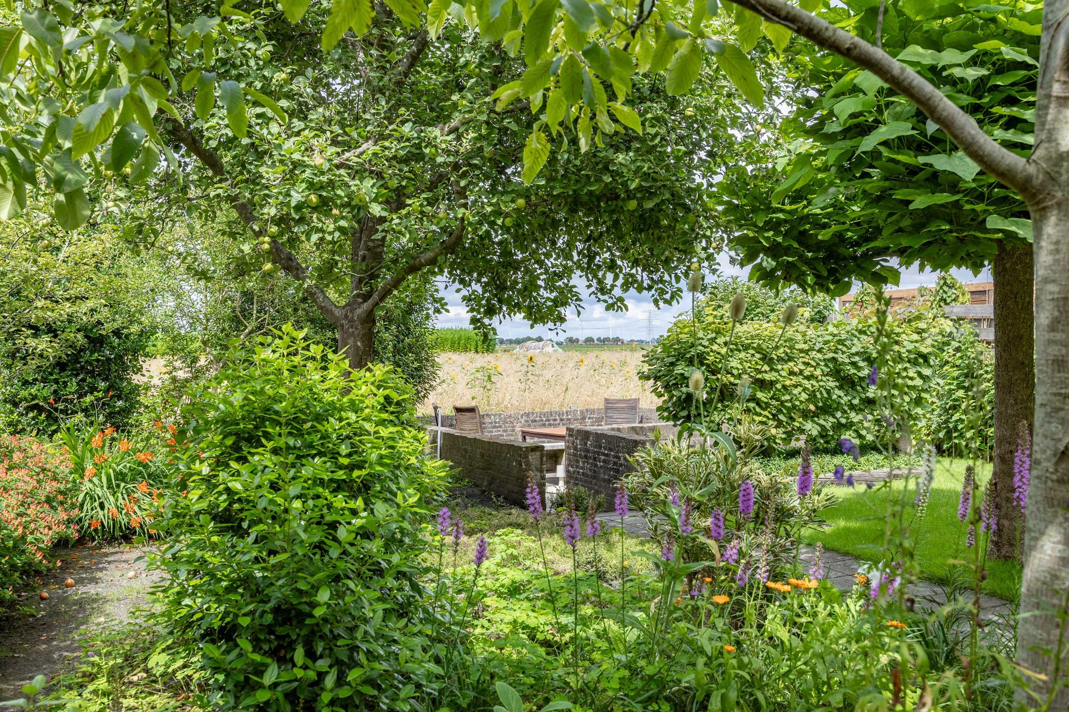 Foto 60 van Jan Oldenburgerstraat E 44