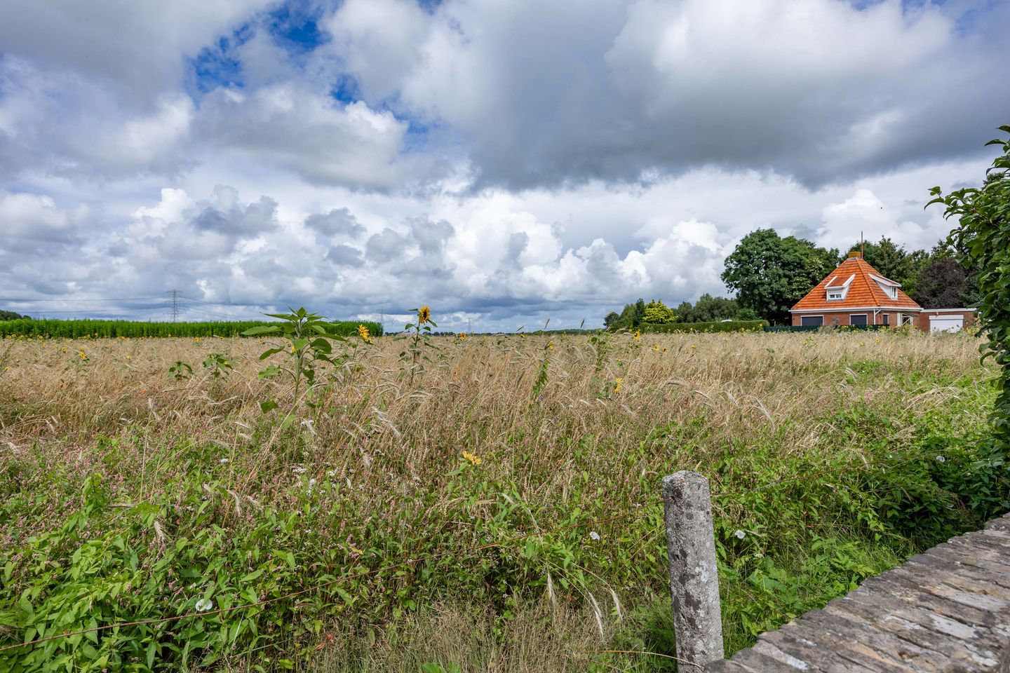 Foto 64 van Jan Oldenburgerstraat E 44