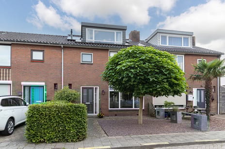 undefined main image