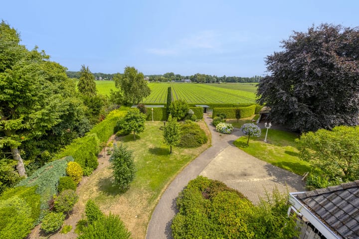 Foto 3 van Wanroijseweg 59