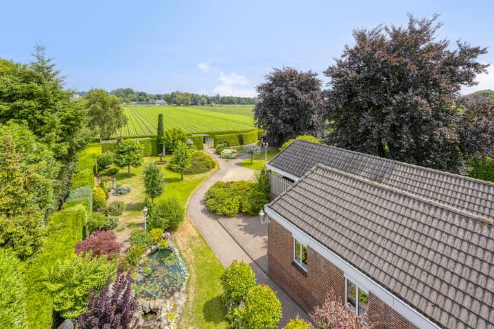 Foto 37 van Wanroijseweg 59