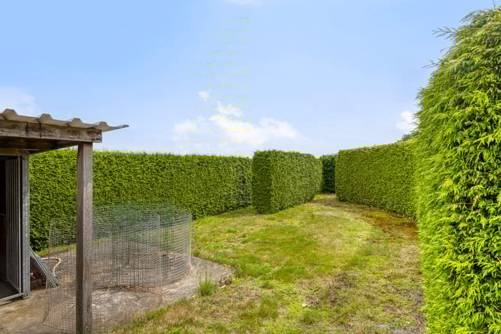 Foto 39 van Wanroijseweg 59