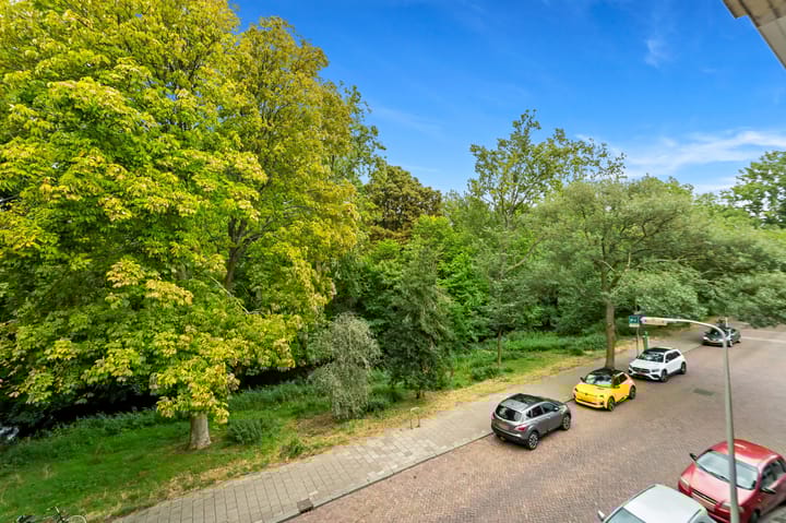 Foto 5 van Sinjeur Semeynsweg 21