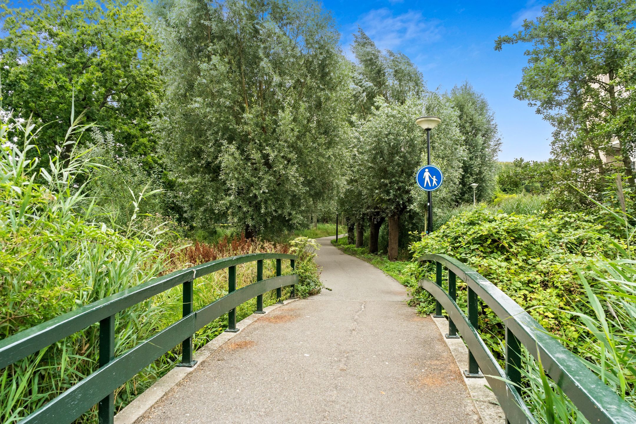 Foto 42 van Sinjeur Semeynsweg 21
