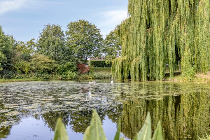 Foto 36 van Cannenburchstraat 19