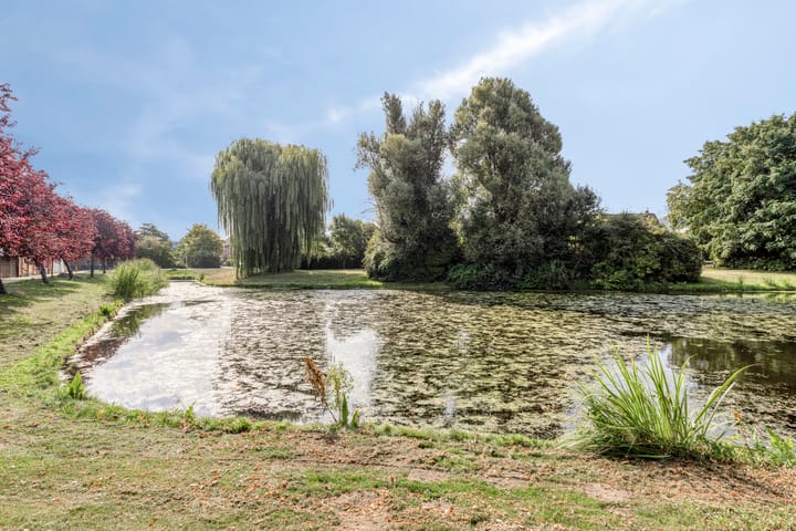 Foto 38 van Cannenburchstraat 19