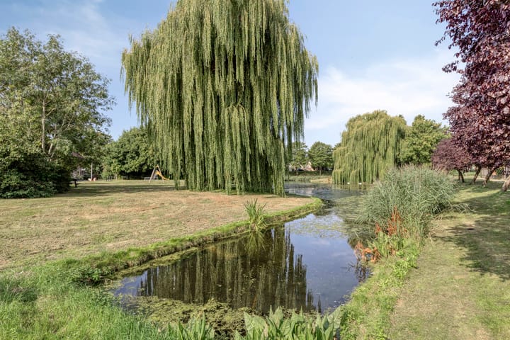 Foto 39 van Cannenburchstraat 19