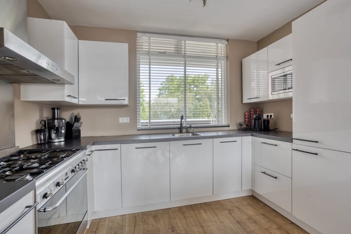 Foto 3 van Hollandsch Diep 101