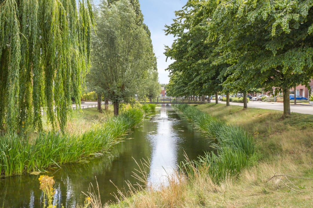 Foto 22 van Schout van Doernestraat 40