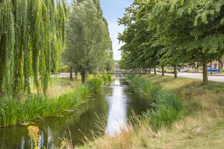 Foto 22 van Schout van Doernestraat 40