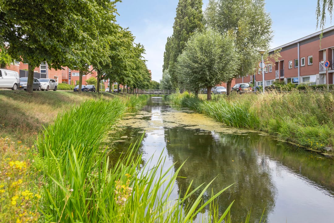 Foto 23 van Schout van Doernestraat 40