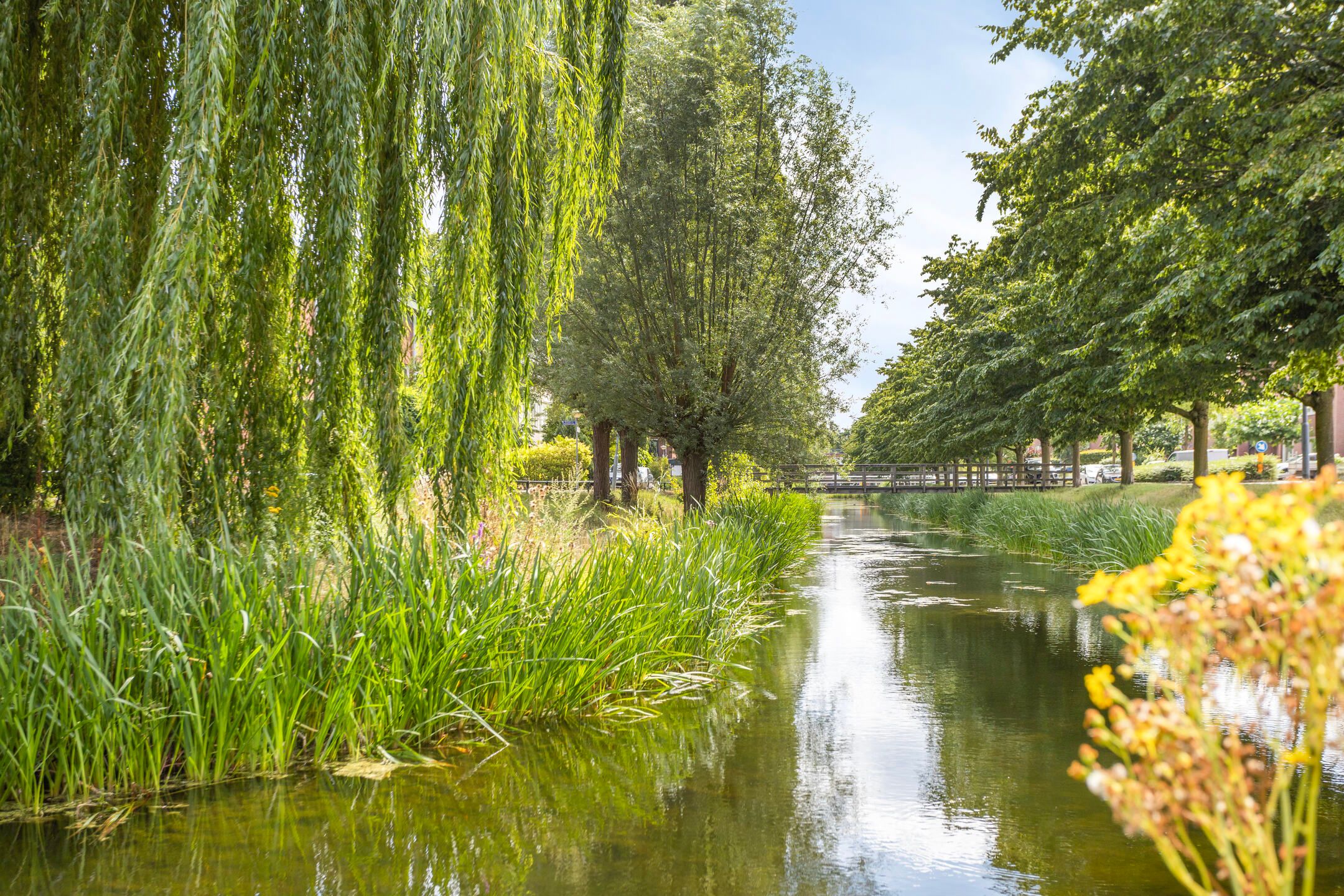 Foto 24 van Schout van Doernestraat 40