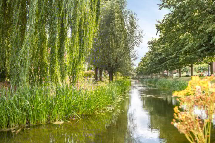 Foto 24 van Schout van Doernestraat 40