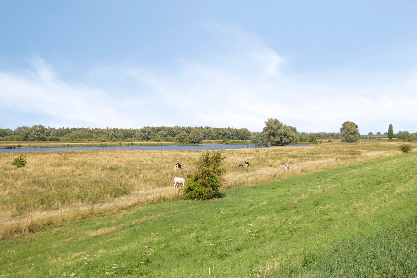 Foto 29 van Schout van Doernestraat 40