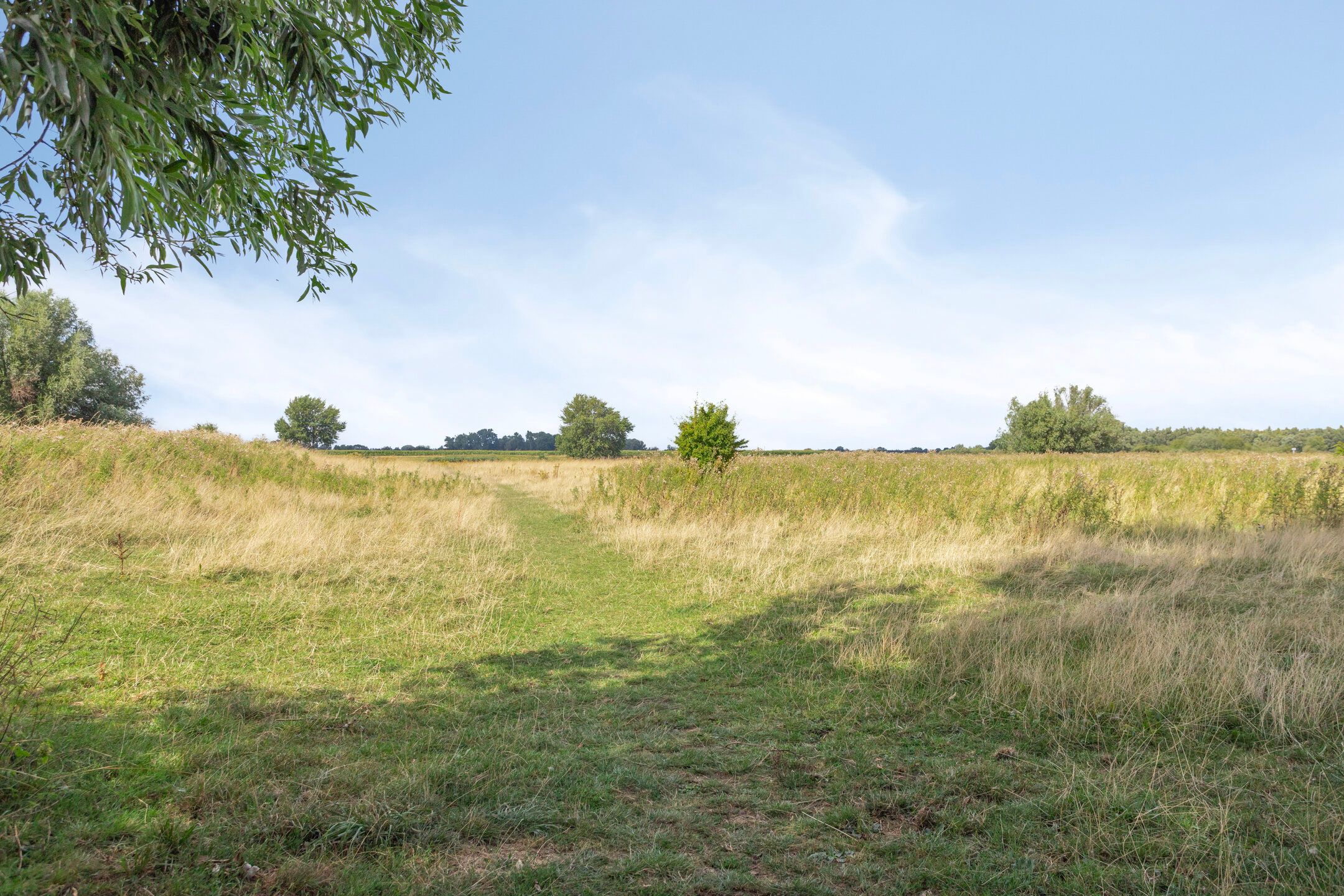 Foto 30 van Schout van Doernestraat 40