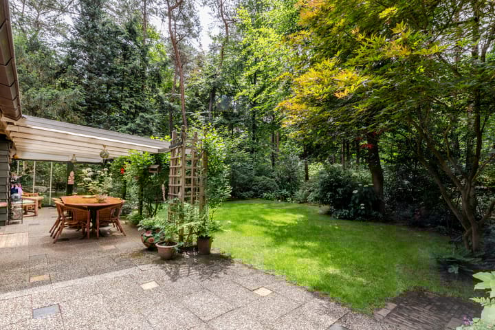 Photo 3 of Spechtbos 18