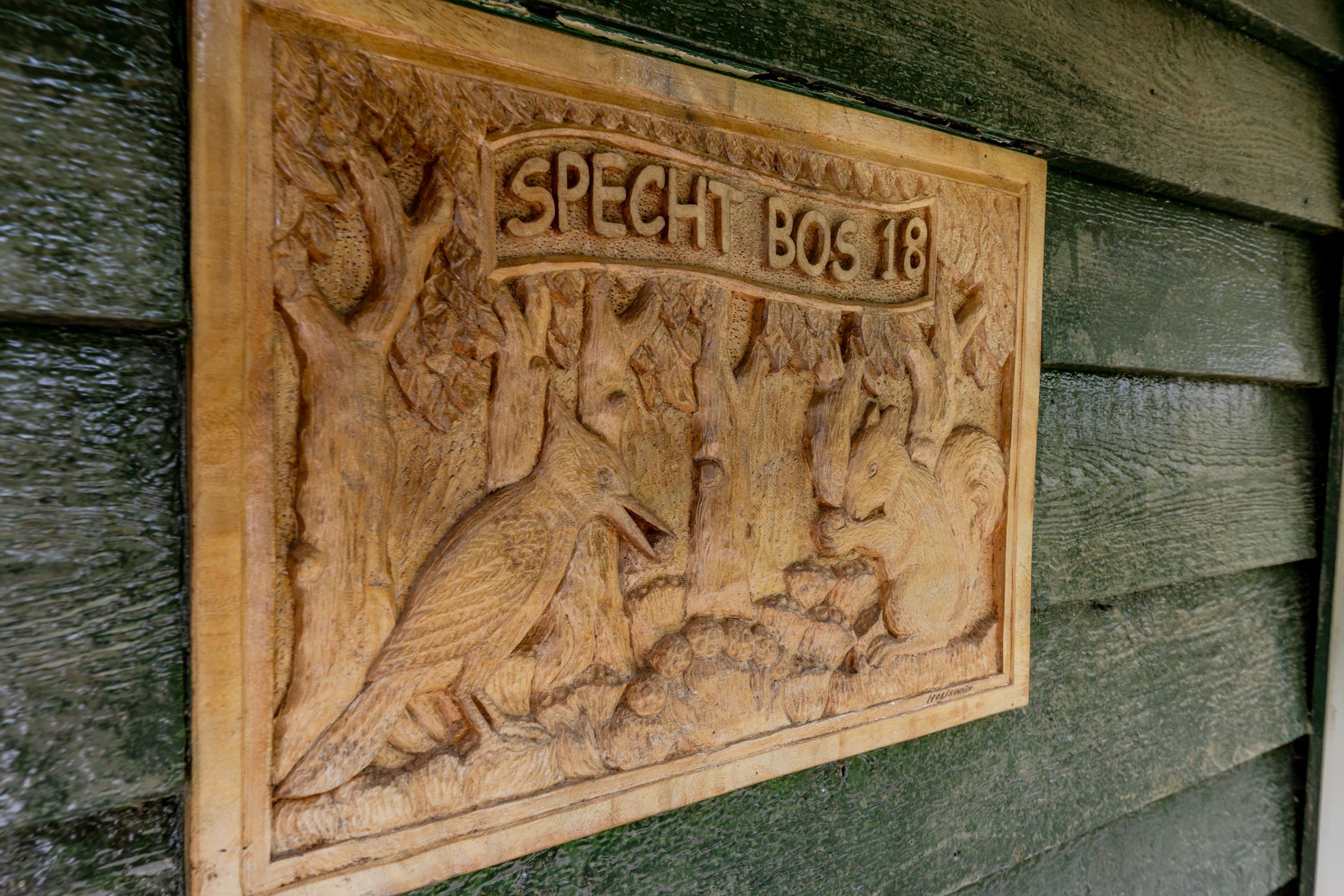 Photo 33 of Spechtbos 18