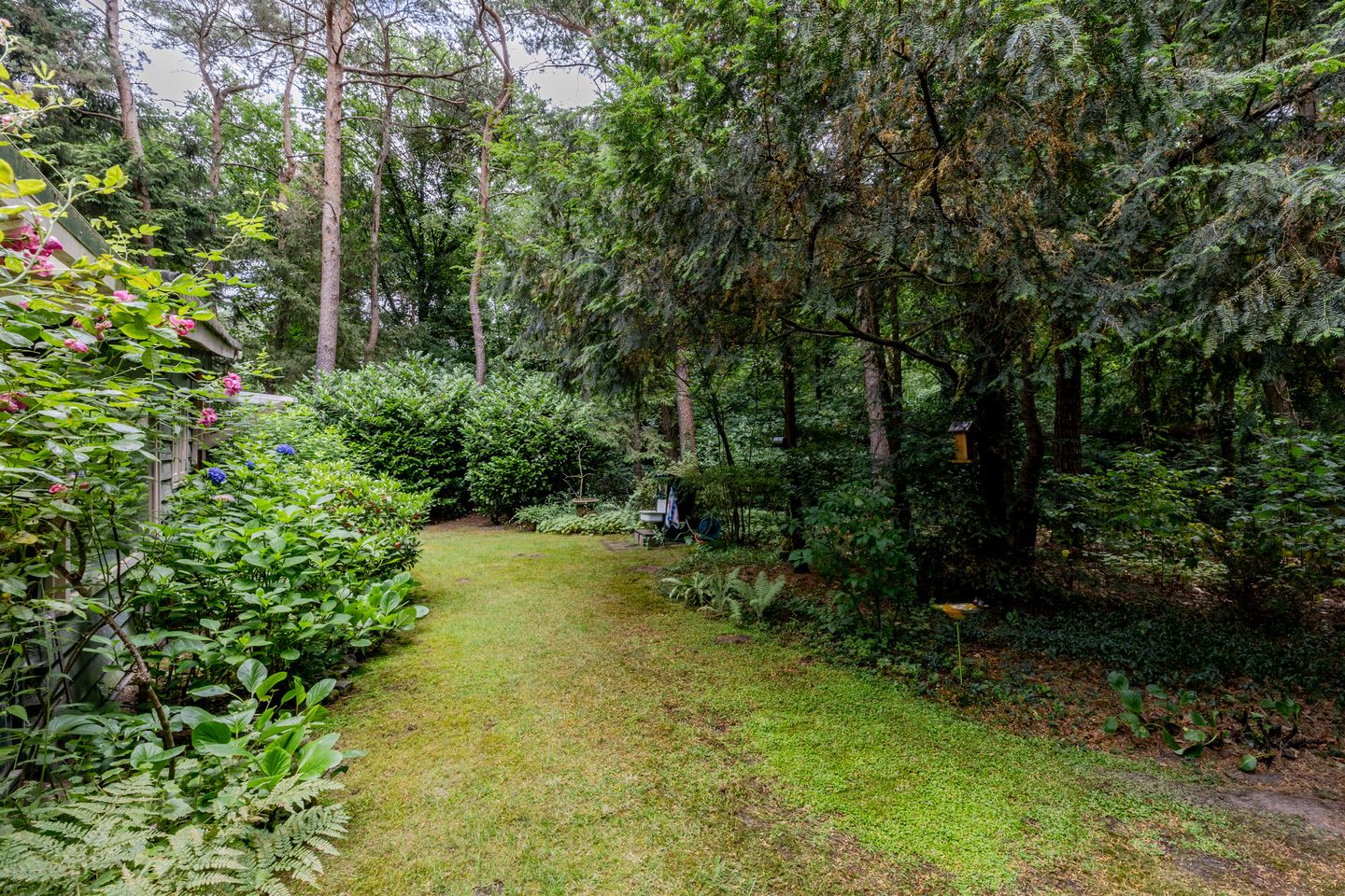 Photo 35 of Spechtbos 18