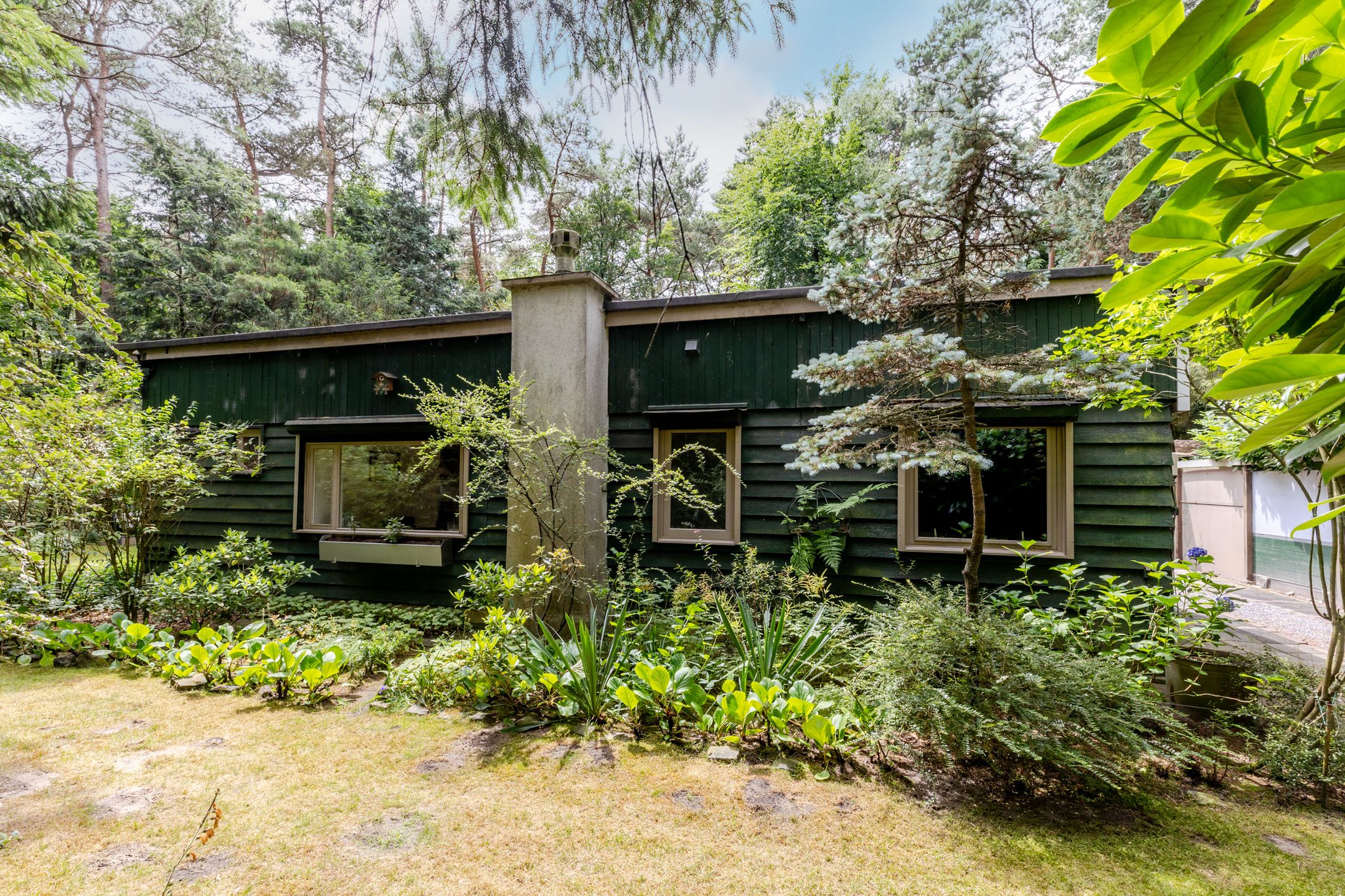 Photo 36 of Spechtbos 18