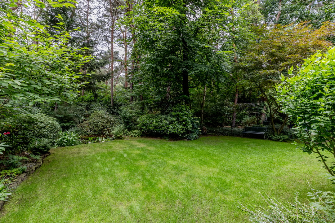 Photo 38 of Spechtbos 18