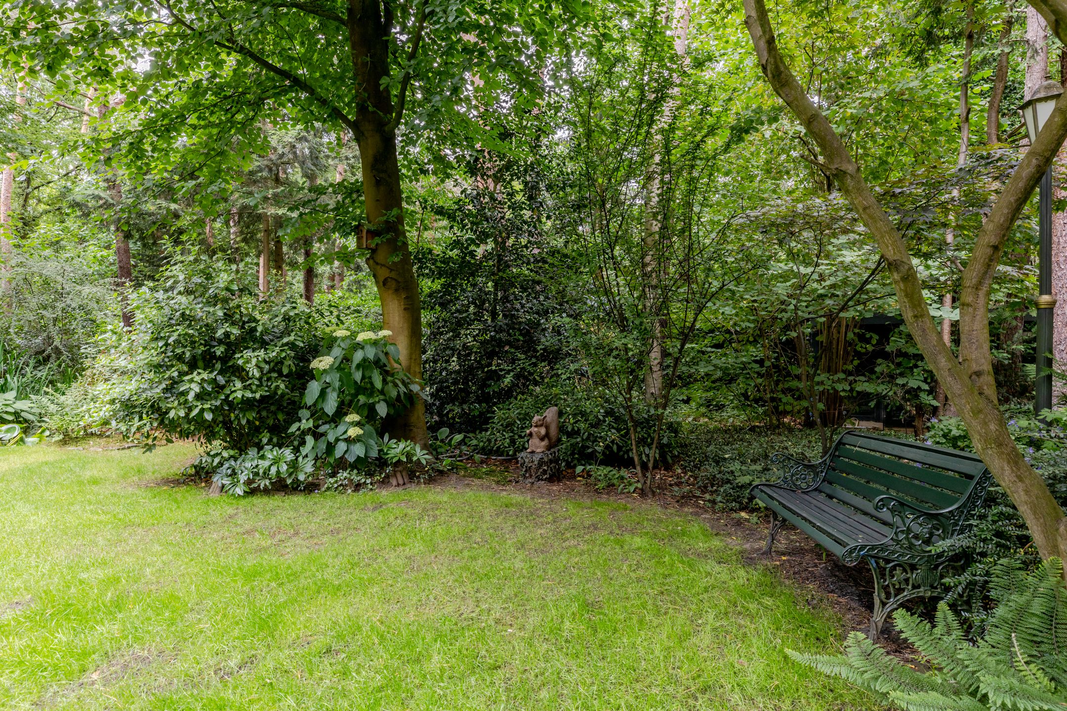 Photo 39 of Spechtbos 18