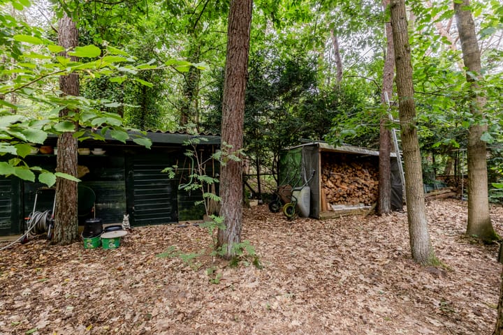 Foto 40 van Spechtbos 18