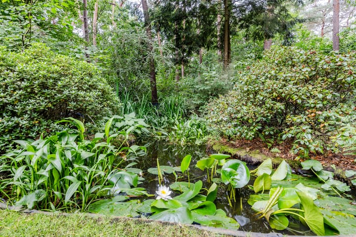 Foto 41 van Spechtbos 18