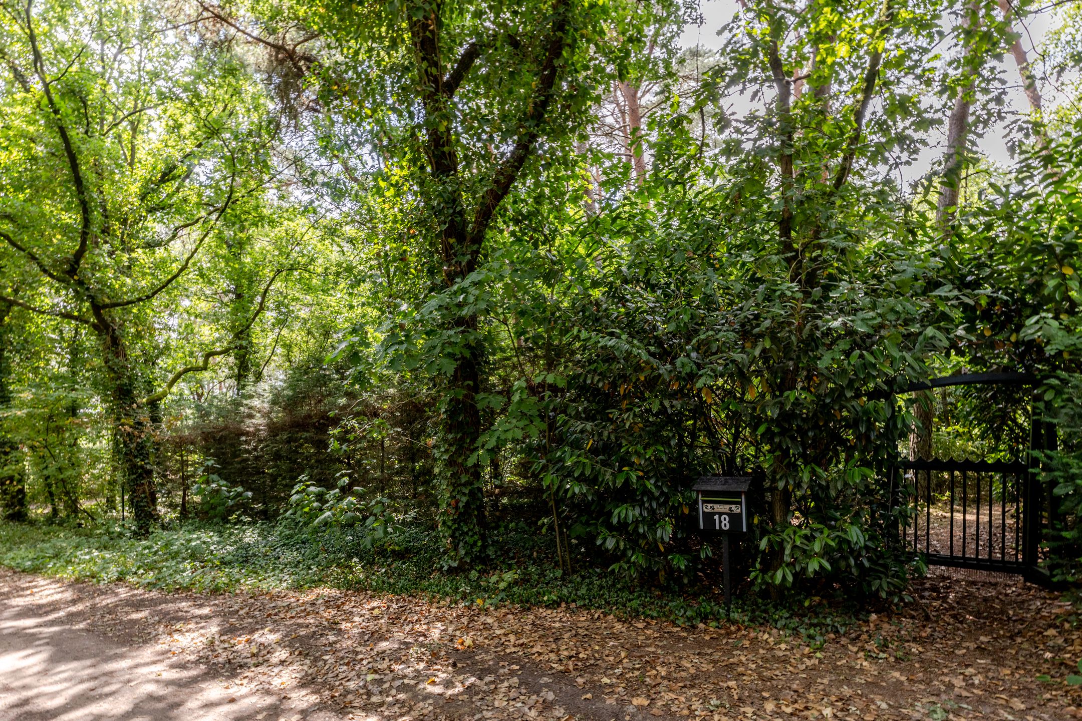 Photo 45 of Spechtbos 18