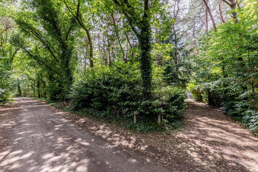 Photo 46 of Spechtbos 18