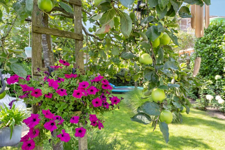 Foto 33 van Van Reenenpark 5