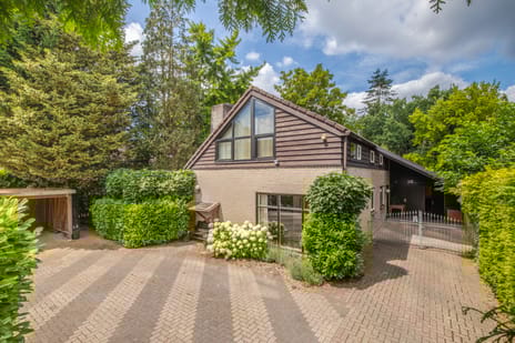 undefined main image