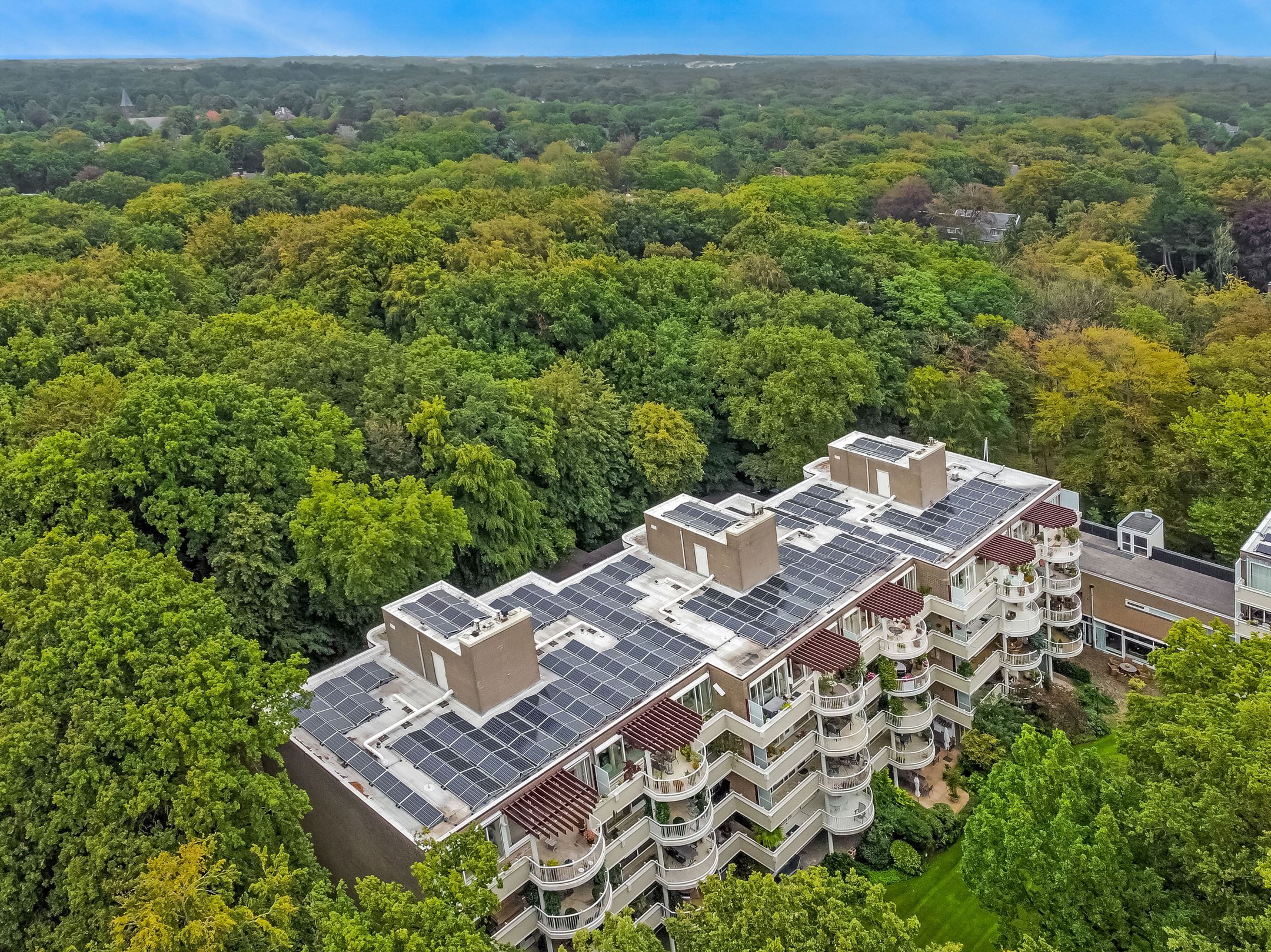 Foto 42 van Stoeplaan 9-F51