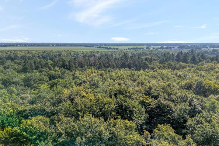 Photo 42 of Elfde Wijk 40-AR41