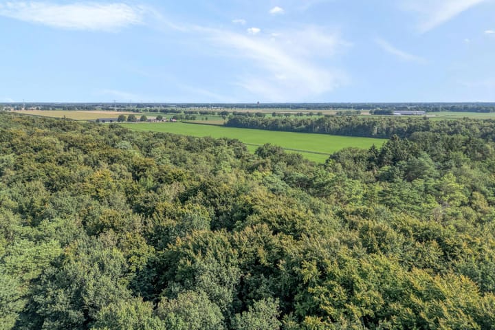 Photo 43 of Elfde Wijk 40-AR41