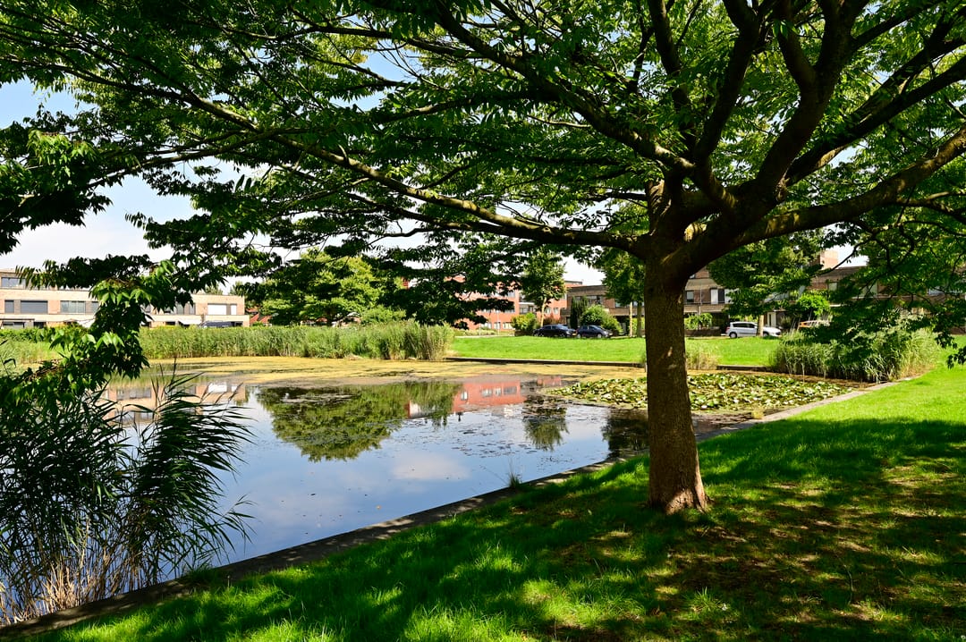 Foto 22 van Nachtegaal 8