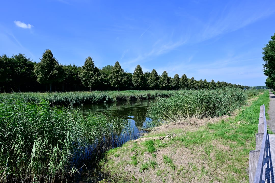 Foto 23 van Nachtegaal 8