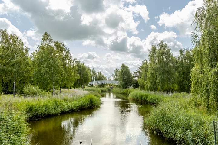 Foto 45 van Veenweide 5