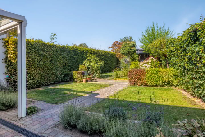 Photo 5 of Lavendel 32