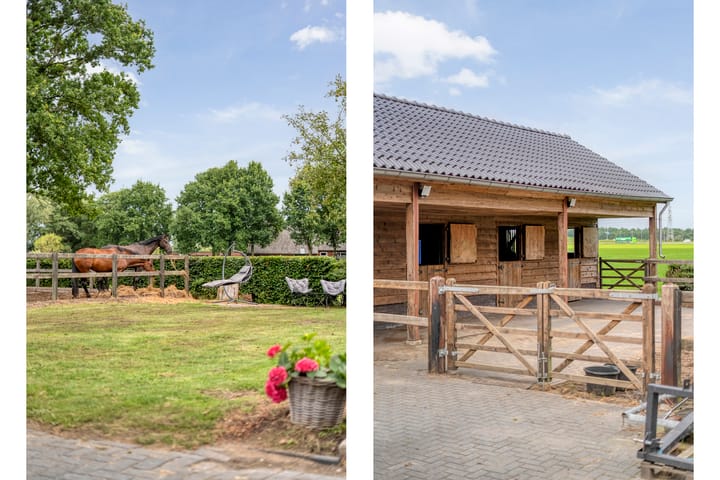 Foto 45 van Asserweg 21