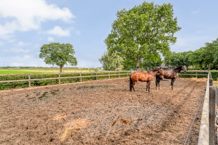 Foto 46 van Asserweg 21