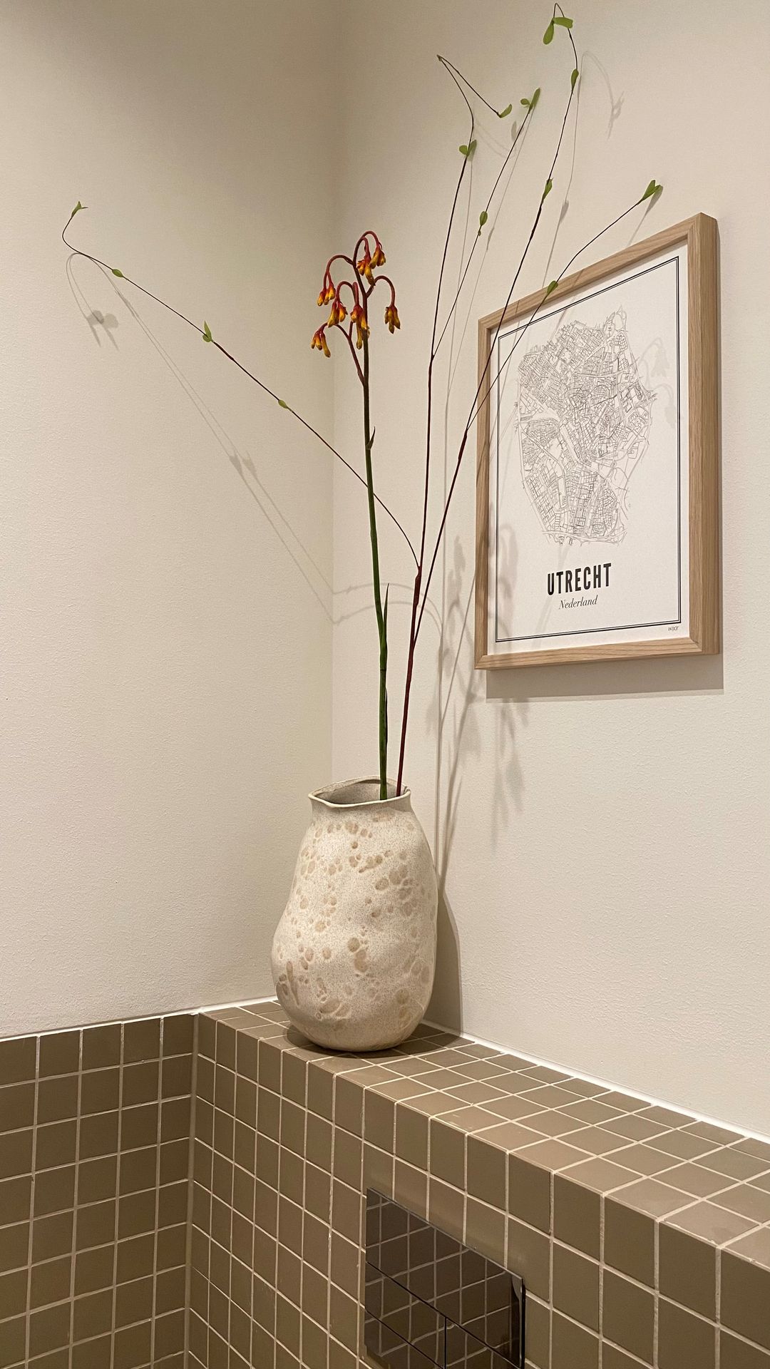 Foto 11 van Hoola van Nootenstraat 355