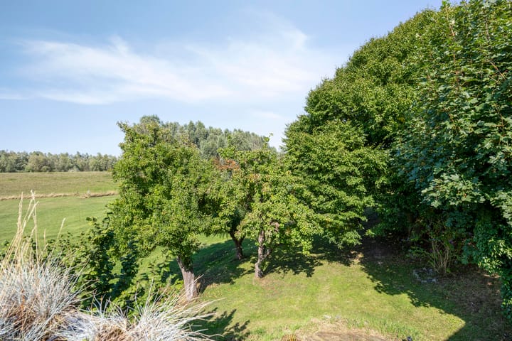 Photo 26 of Waalbandijk 20