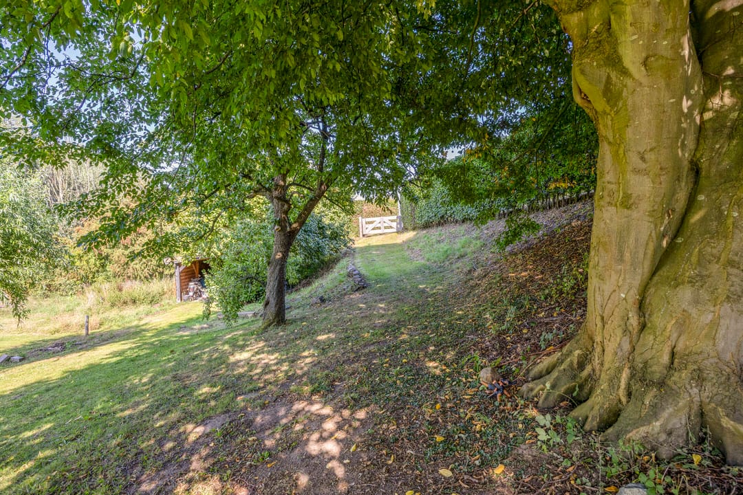 Foto 41 van Waalbandijk 20